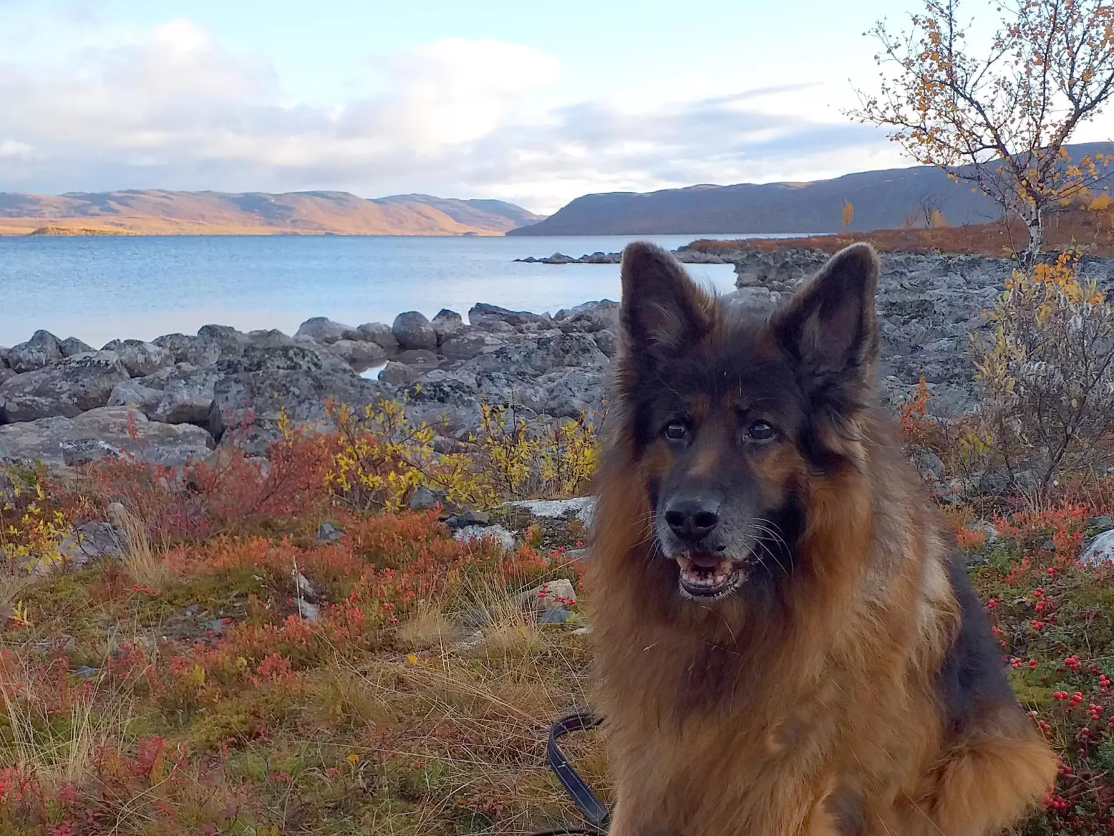 Willa kiiruna-Drinnen