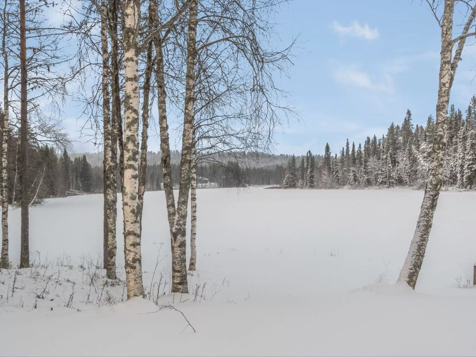 Vaahtissuvanto-Inside