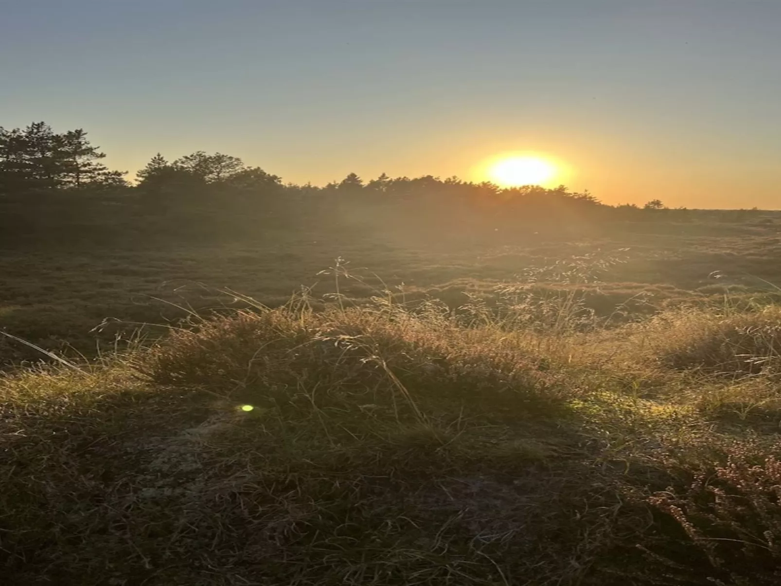 "Ibbe" - 3.5km from the sea-Draußen