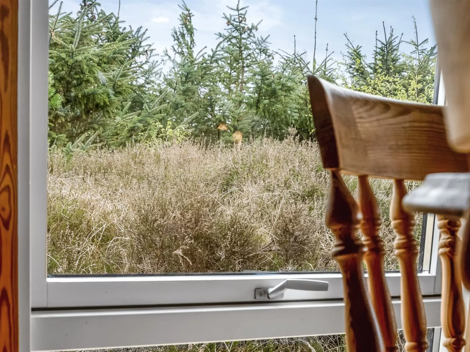 "Kaare" - 400m from the sea-Inside