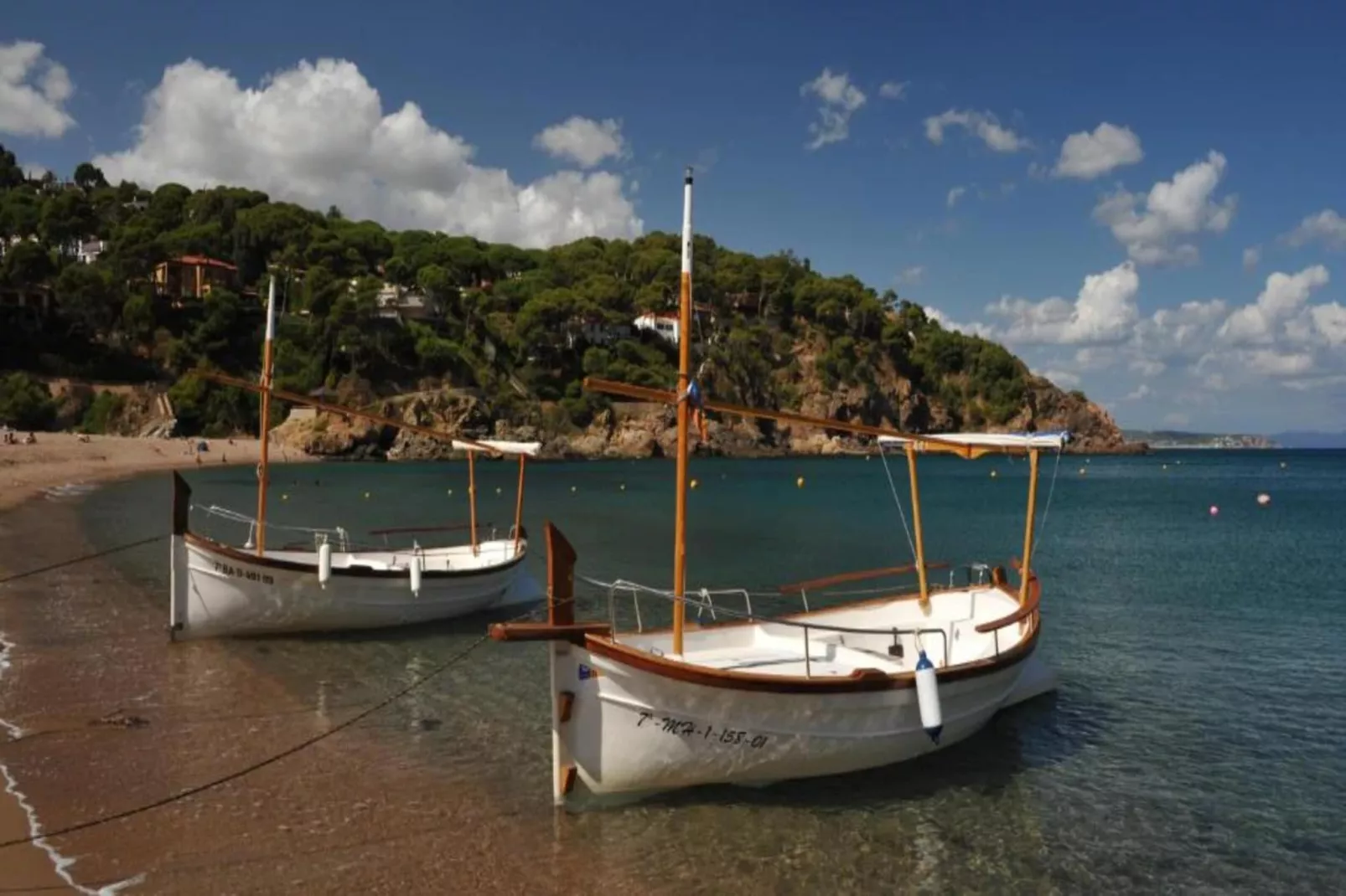 Pastora 2-Areas within 20km in summer