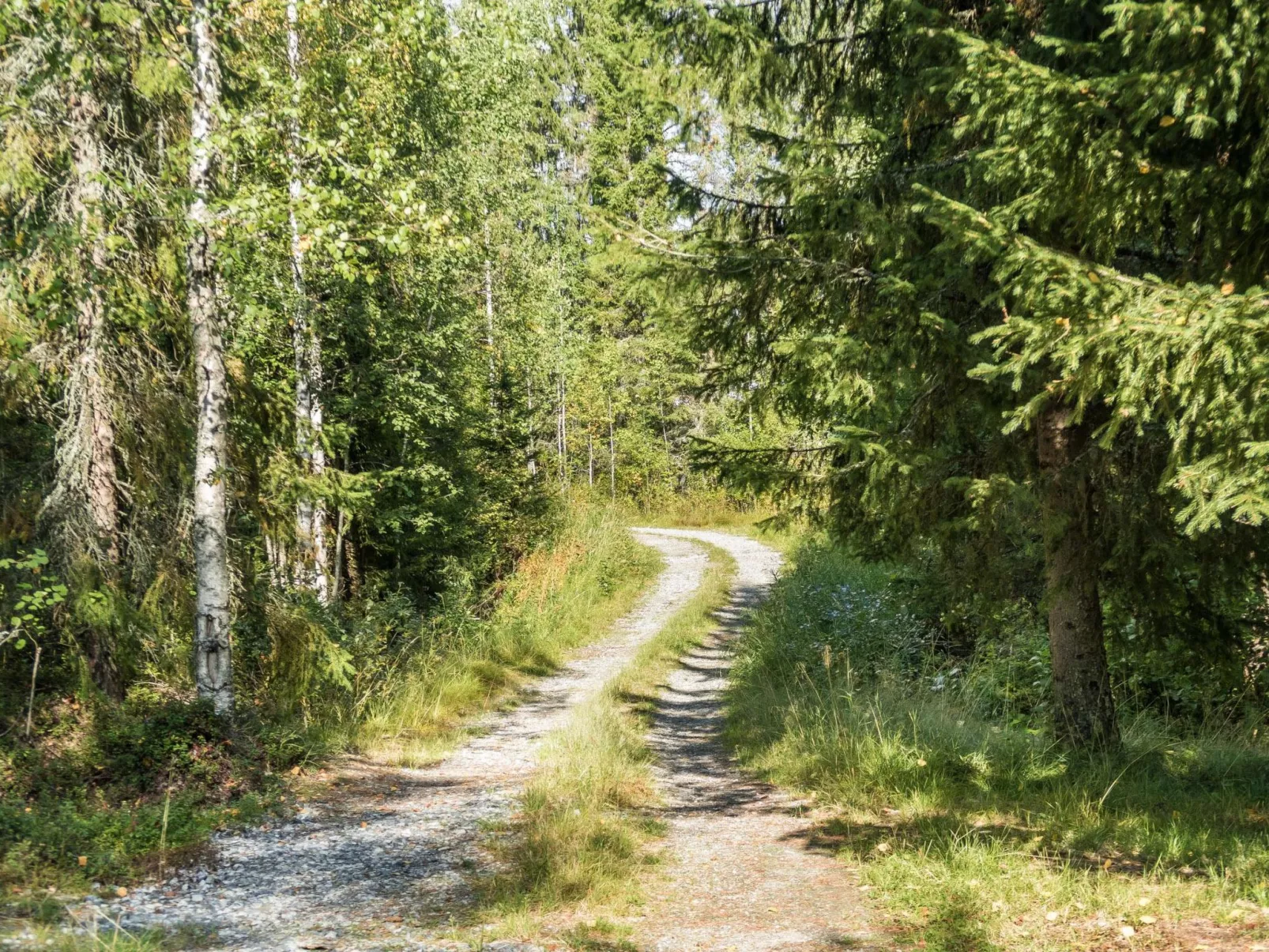 Huotarin mökki-Inside