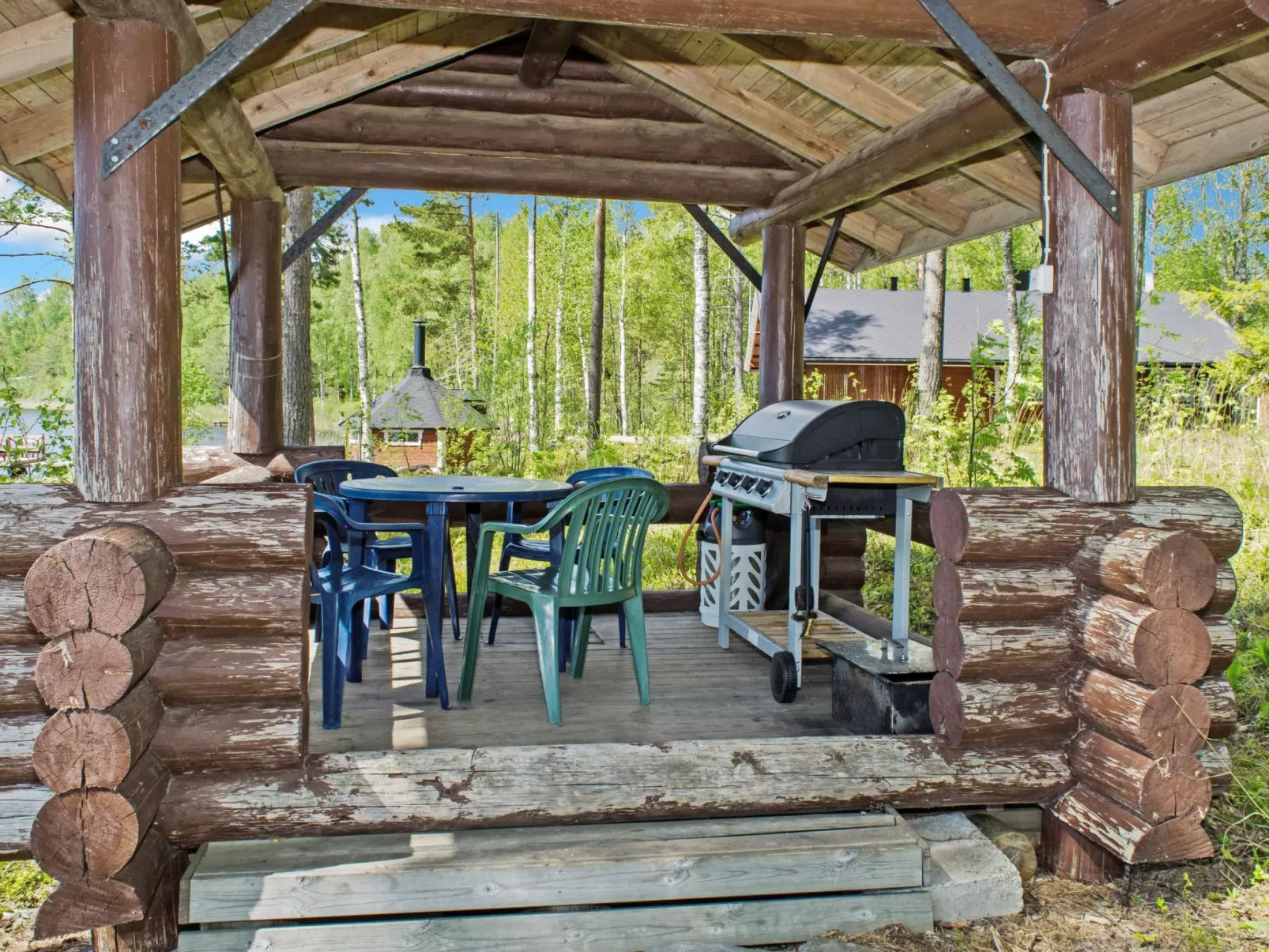 Haapaniemi, cjoe020-Dedans