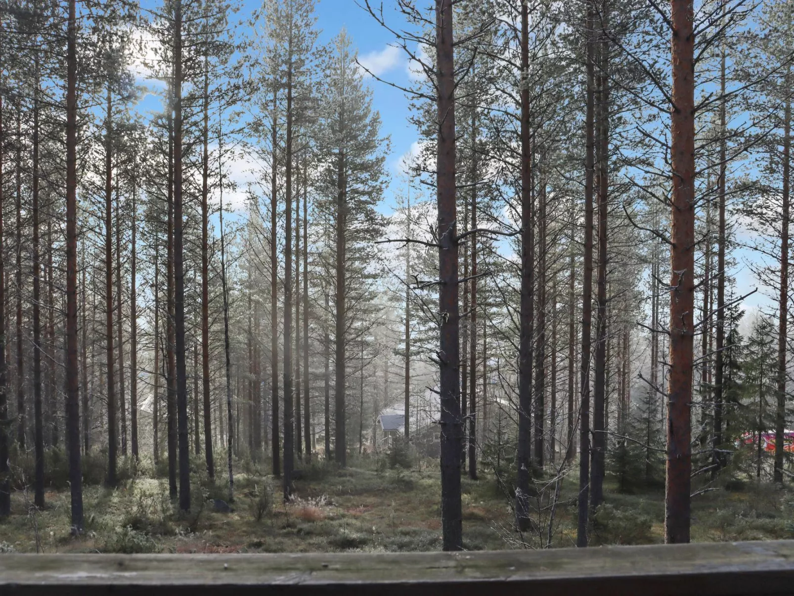 Alppitalo mökki-Dedans