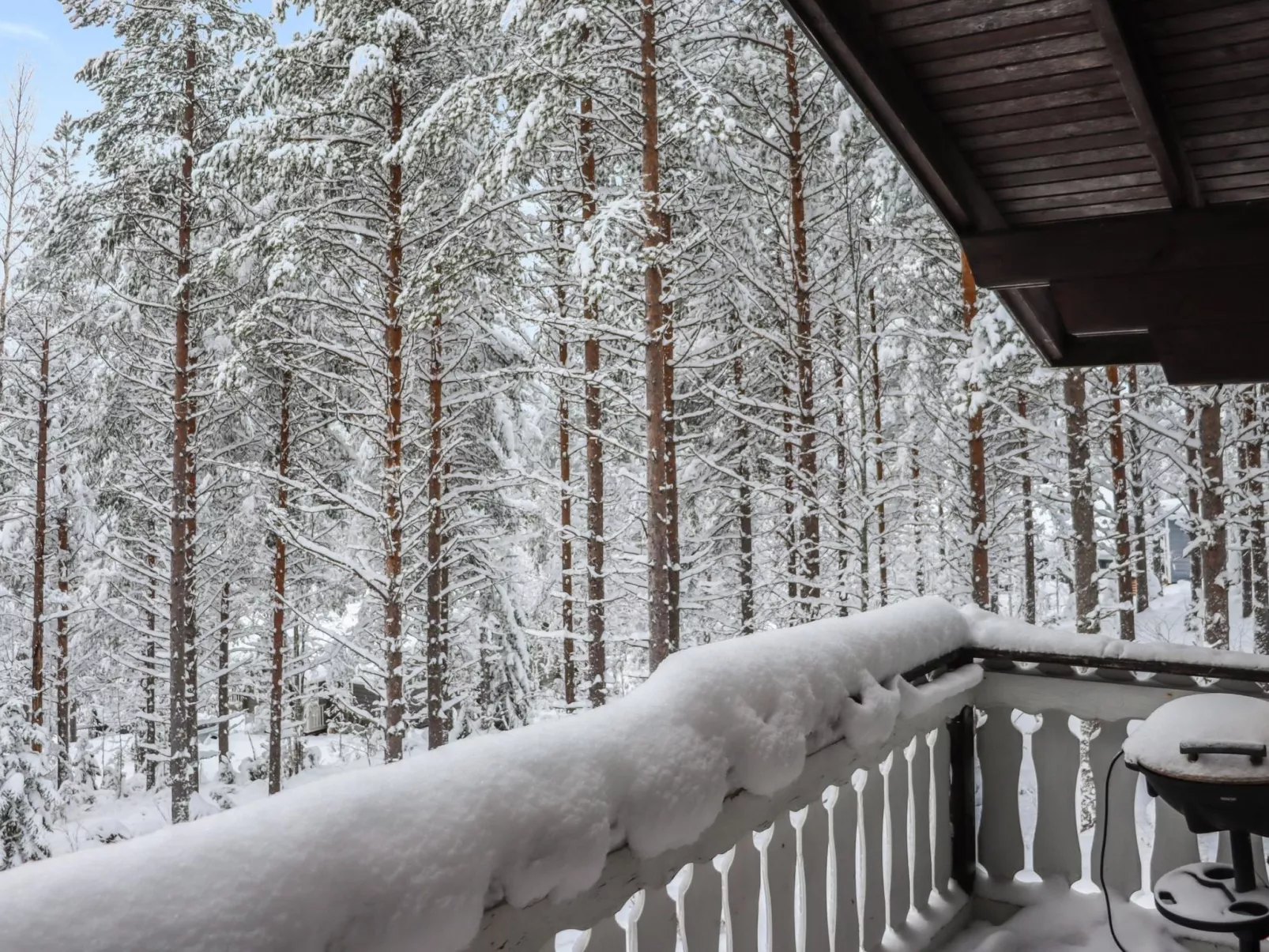 Hyrynpirtti mökki-Dedans