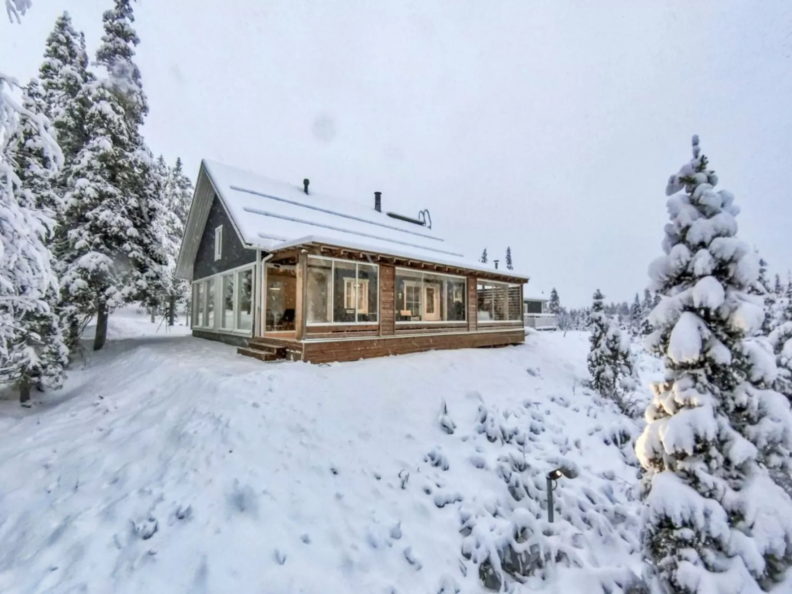 Iso-karpalo b-Dedans