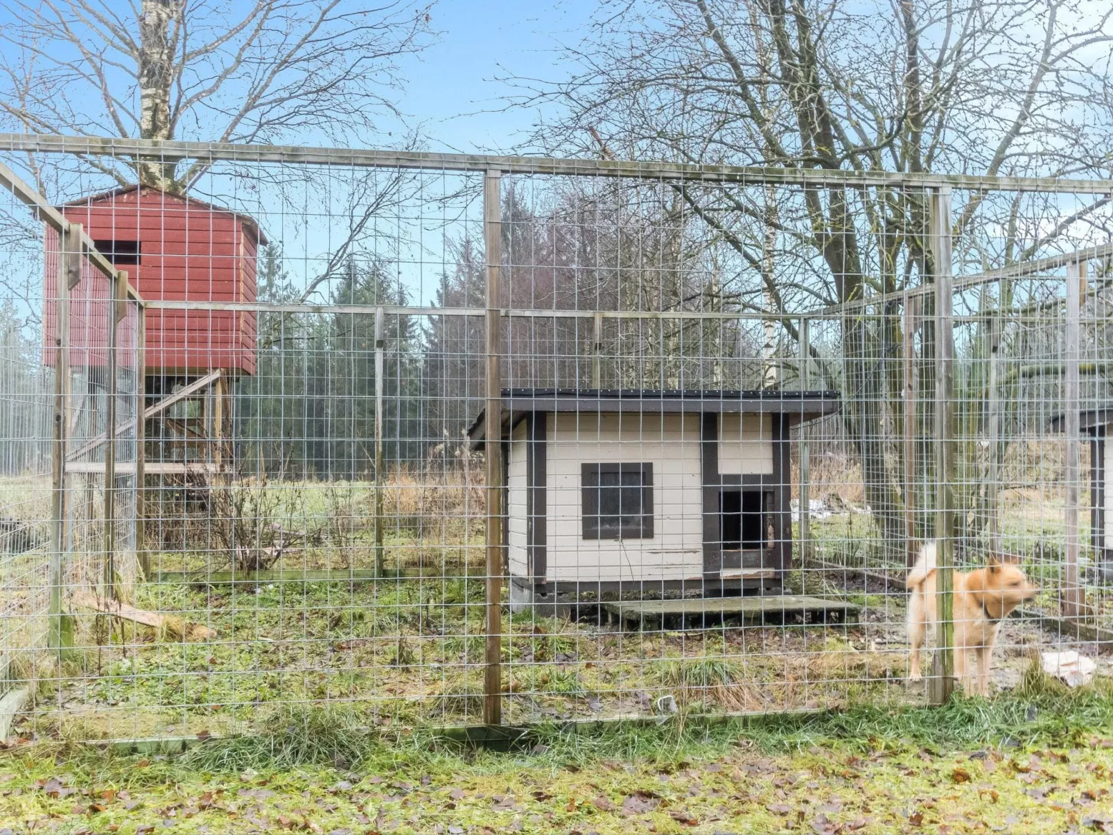 Backcountry base-Inside