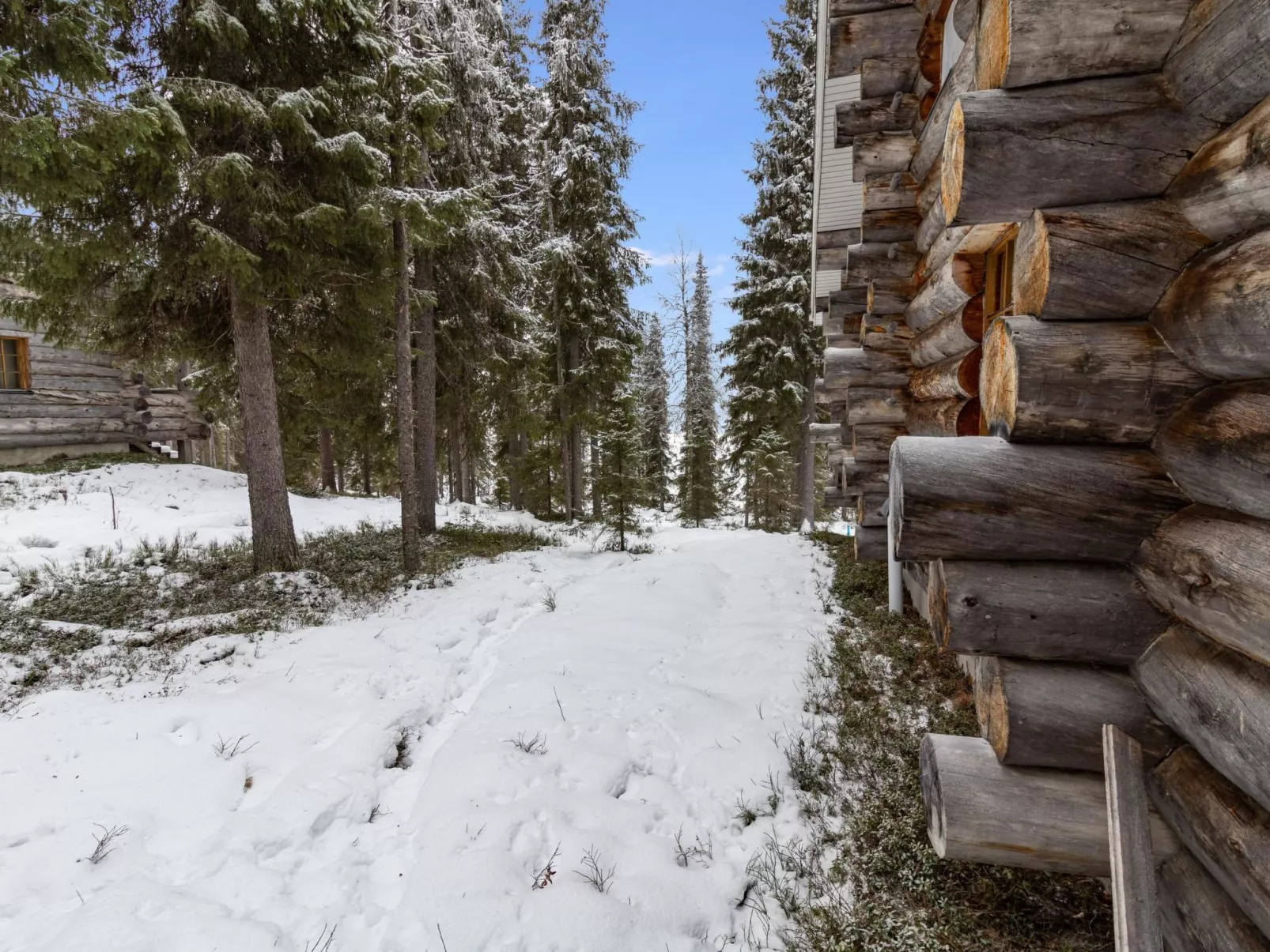 Aurinko-ruka c6-Dedans