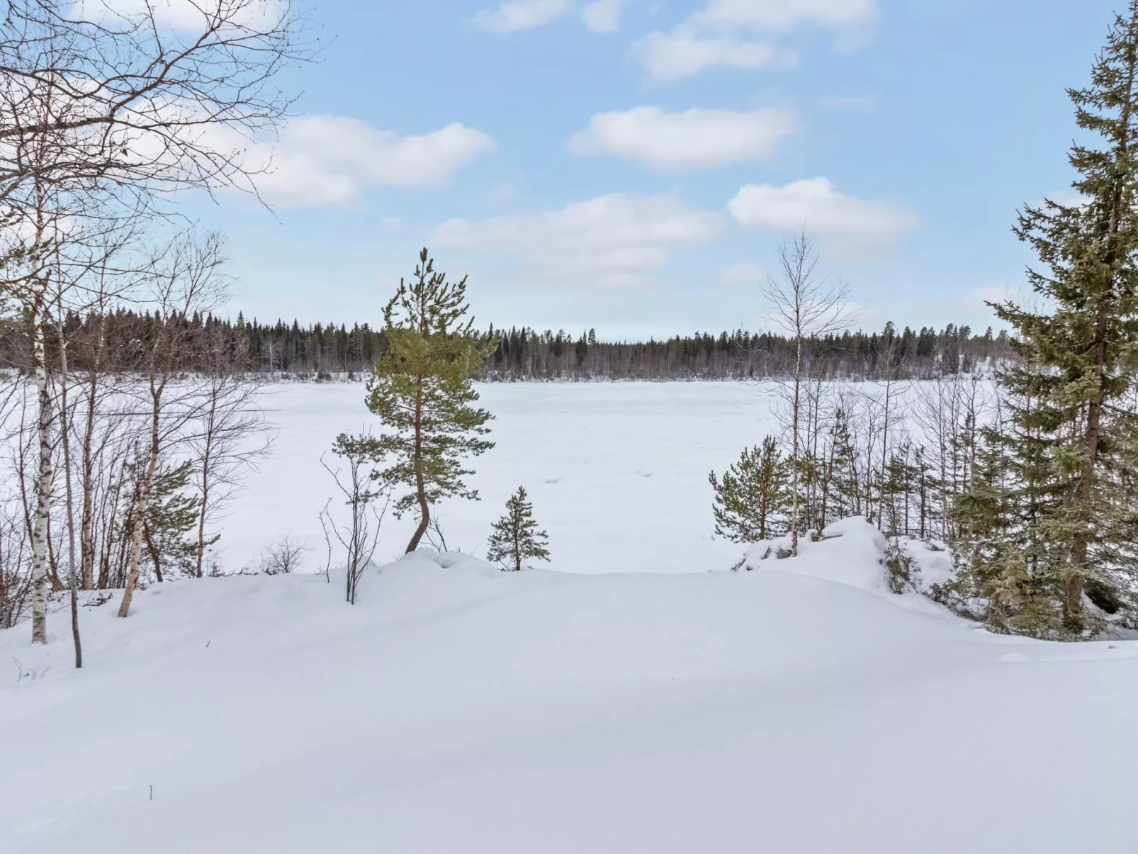 Huvila tornionjoen rannalla-Dedans