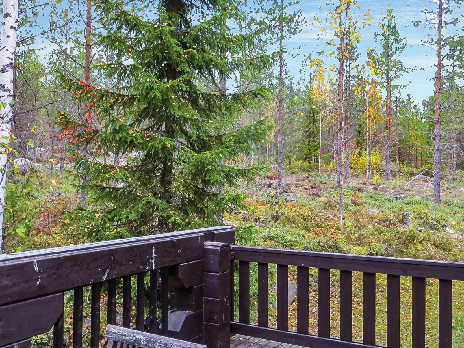 Niementalo 2-Drinnen