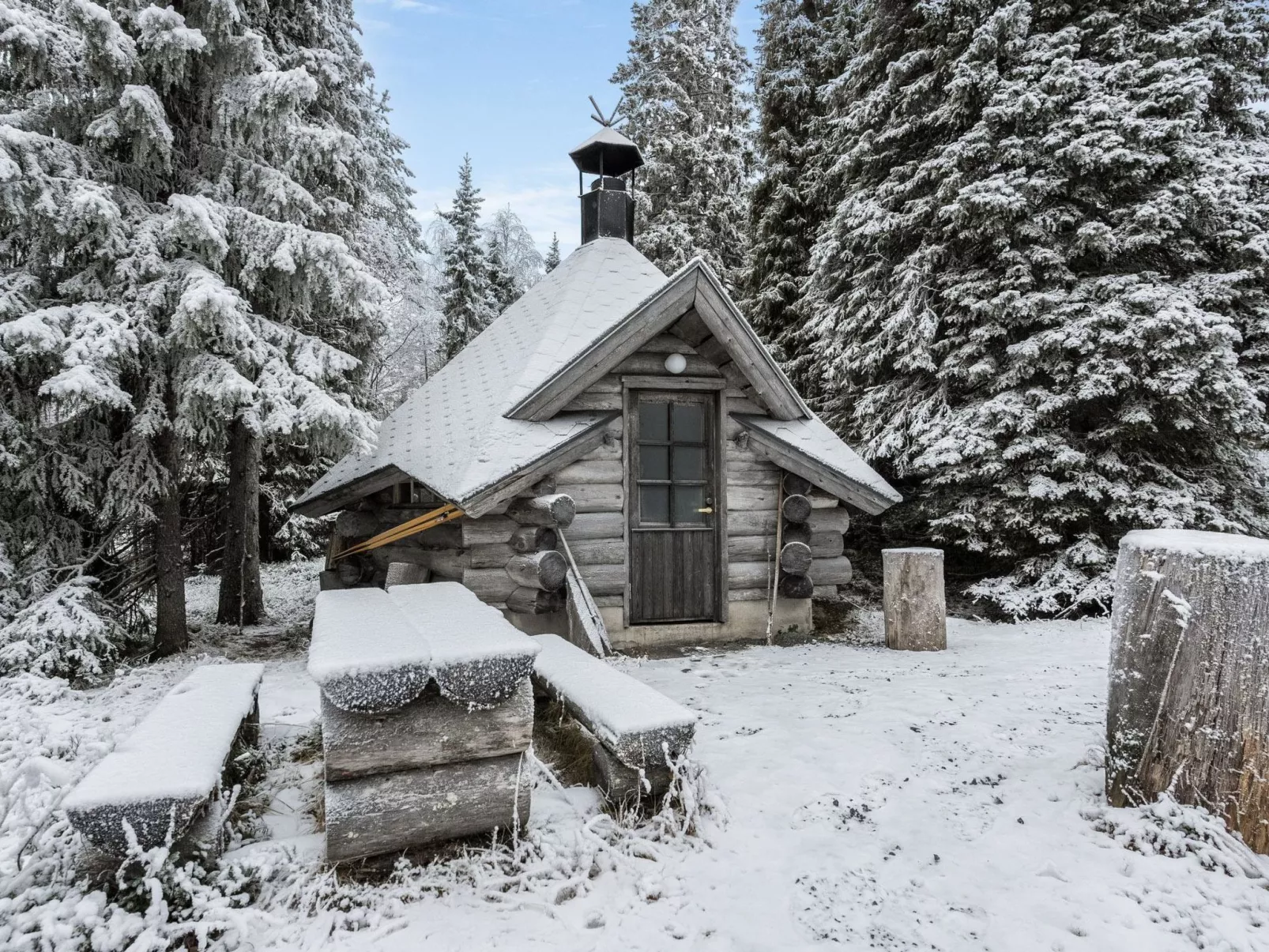 Kantolan veska-Dedans