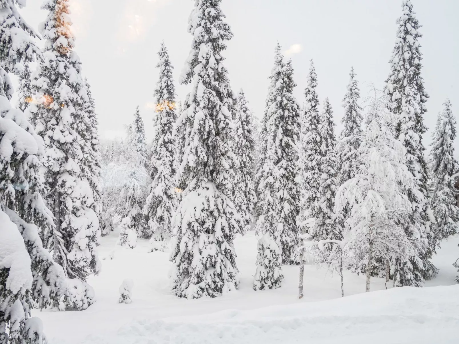 Rukan lepolinna a-Inside