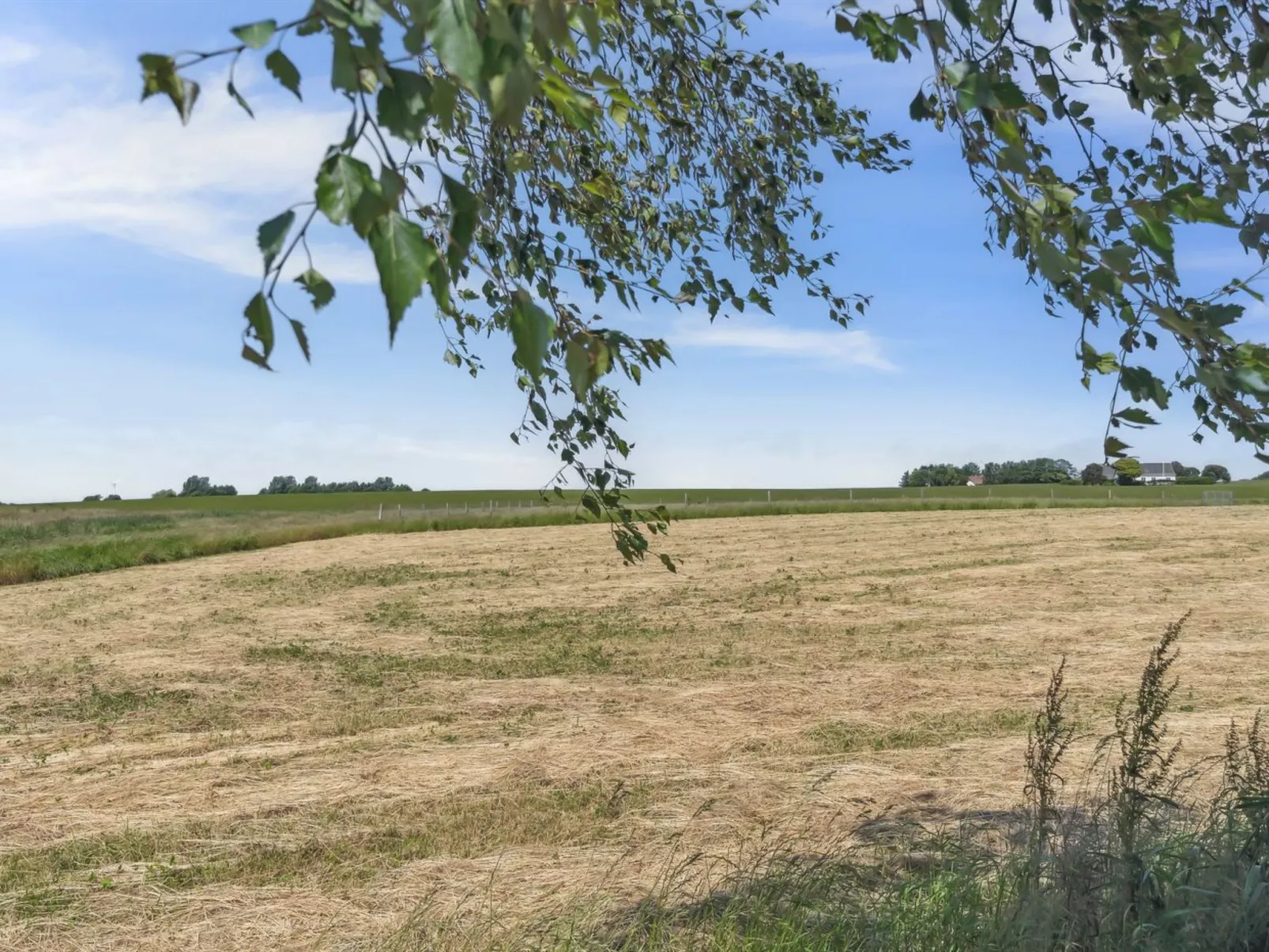 "Lacey" - 4km from the sea-Outside