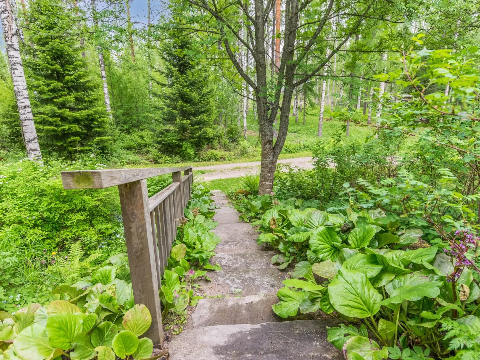 Tervapääsky-Drinnen