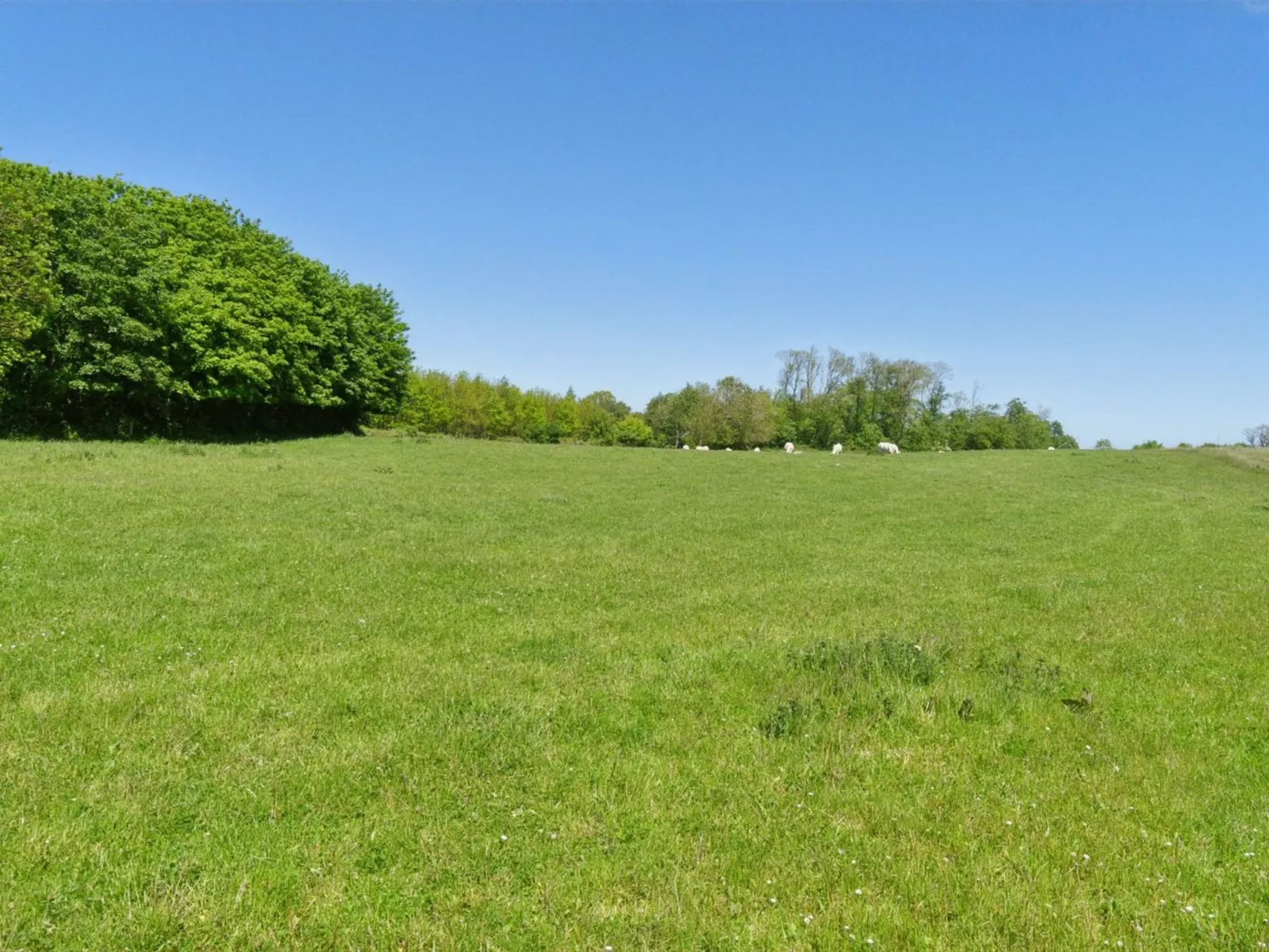 "Aarni" - 6.5km from the sea-Outside