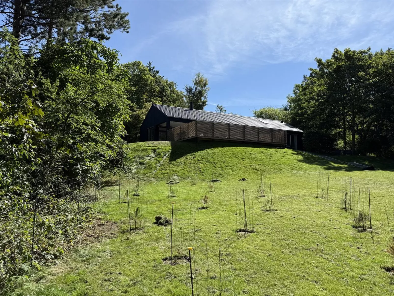 "Aggi" - 850m from the sea-Outside