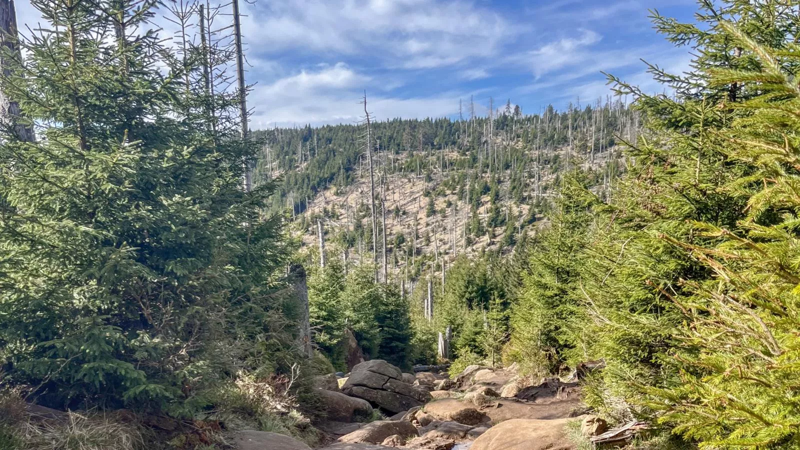 Mompels-Gebiete Sommer 20 km