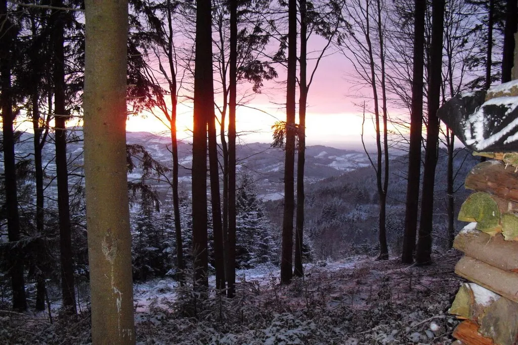 27350-Nicht zugeordnet