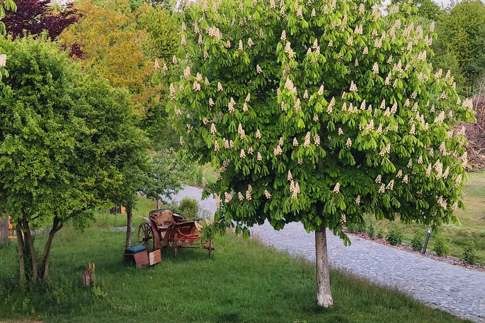 522 Galerie Sauna-Non tagué