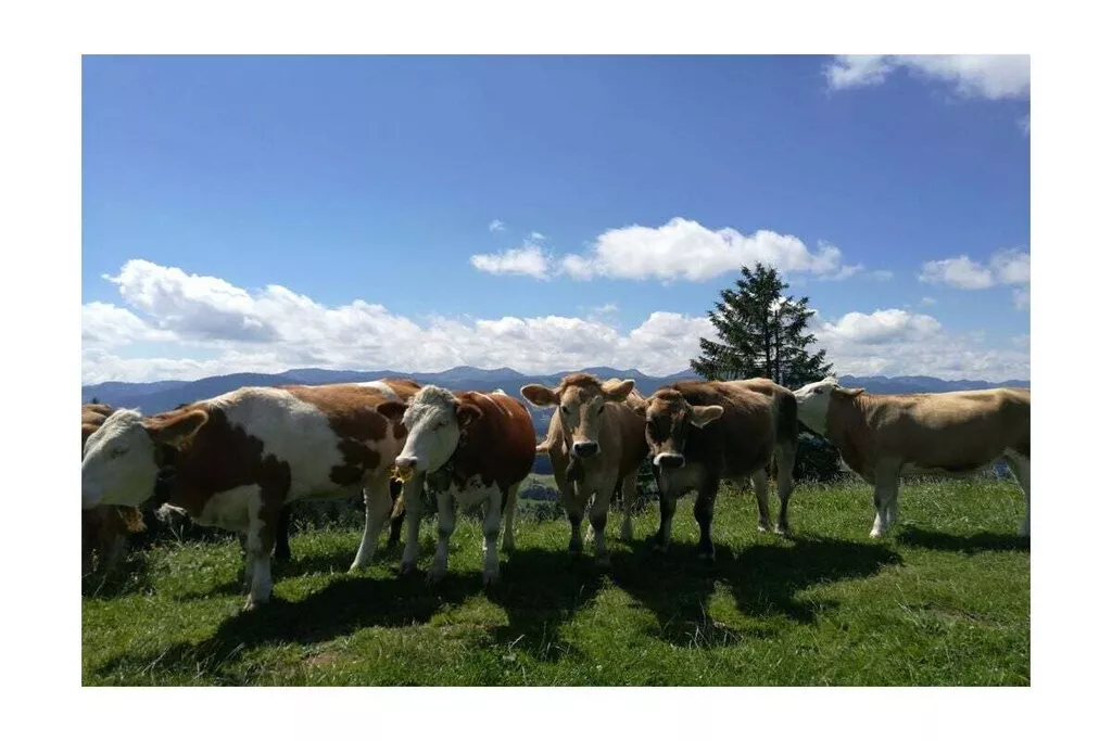 55062-Nicht zugeordnet