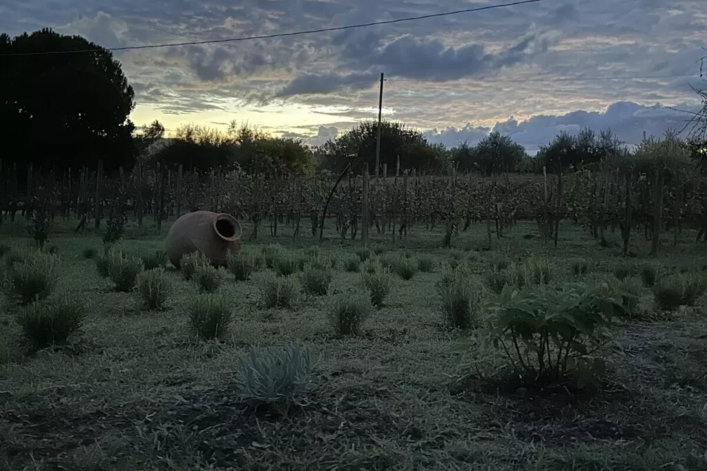 539355-Nicht zugeordnet