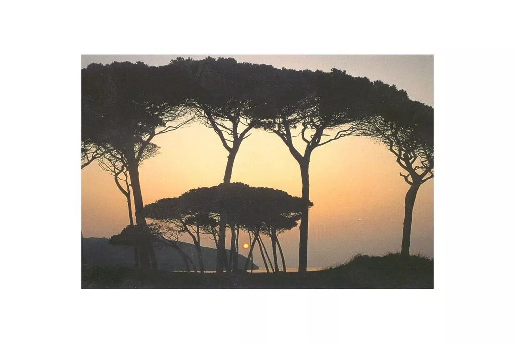 541583-Nicht zugeordnet