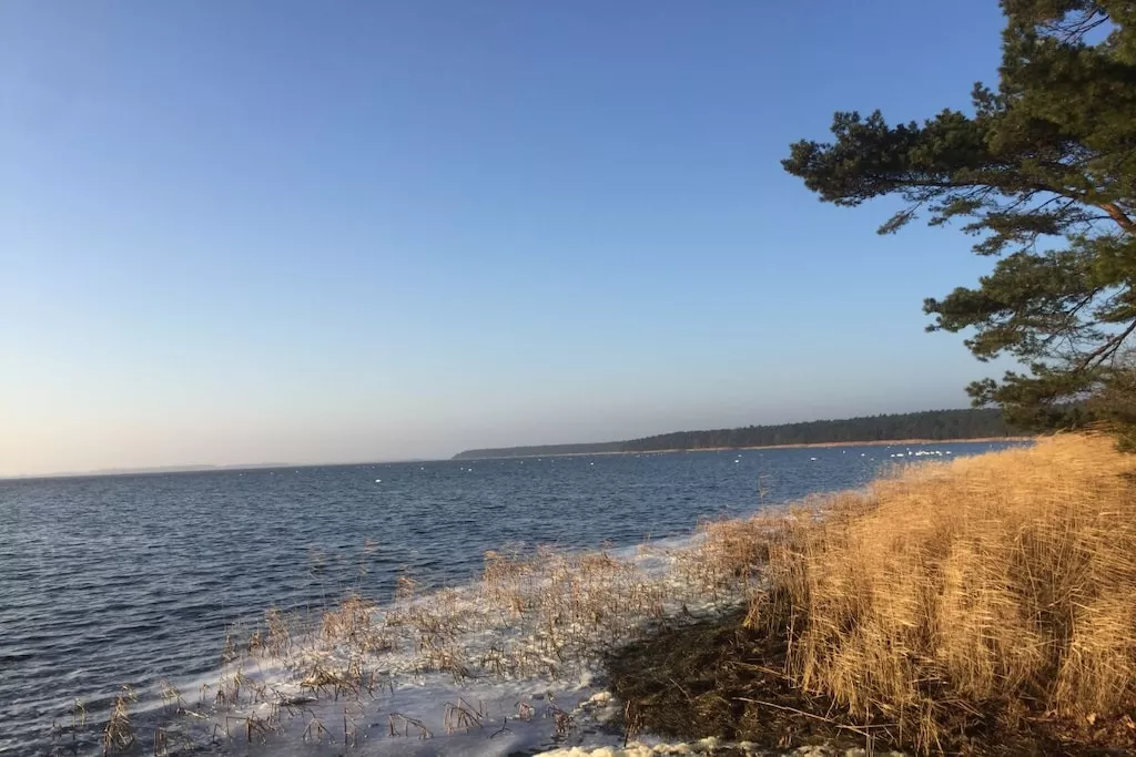 275662-Nicht zugeordnet