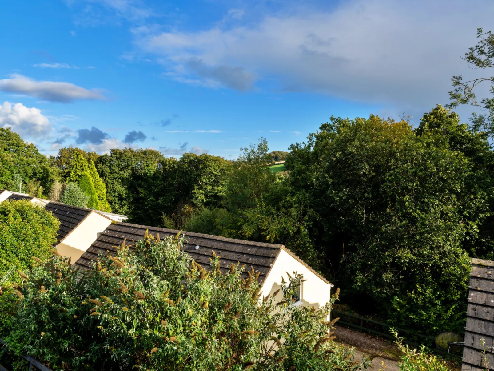 Forest Park Lodge-Dehors