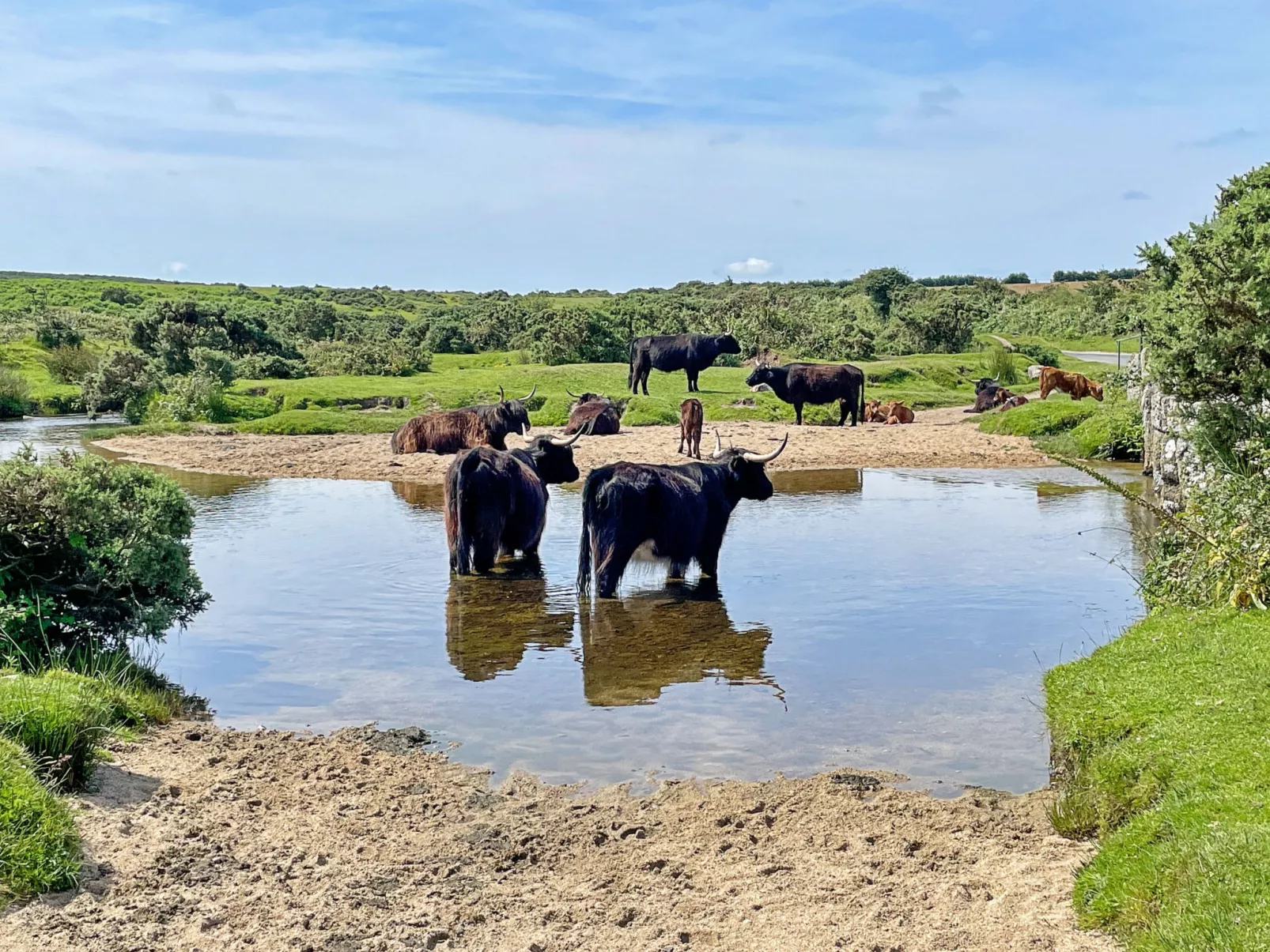 Stable Barn Apartment at Bodmin Moor-Dehors