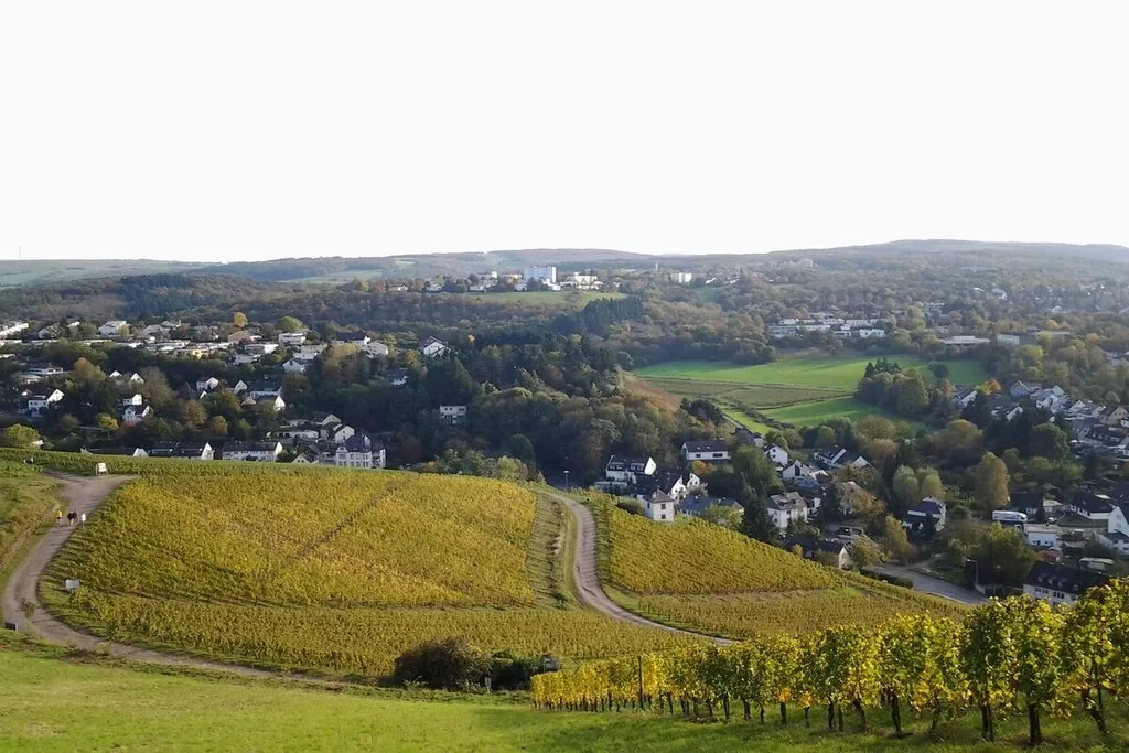 17488-Nicht zugeordnet