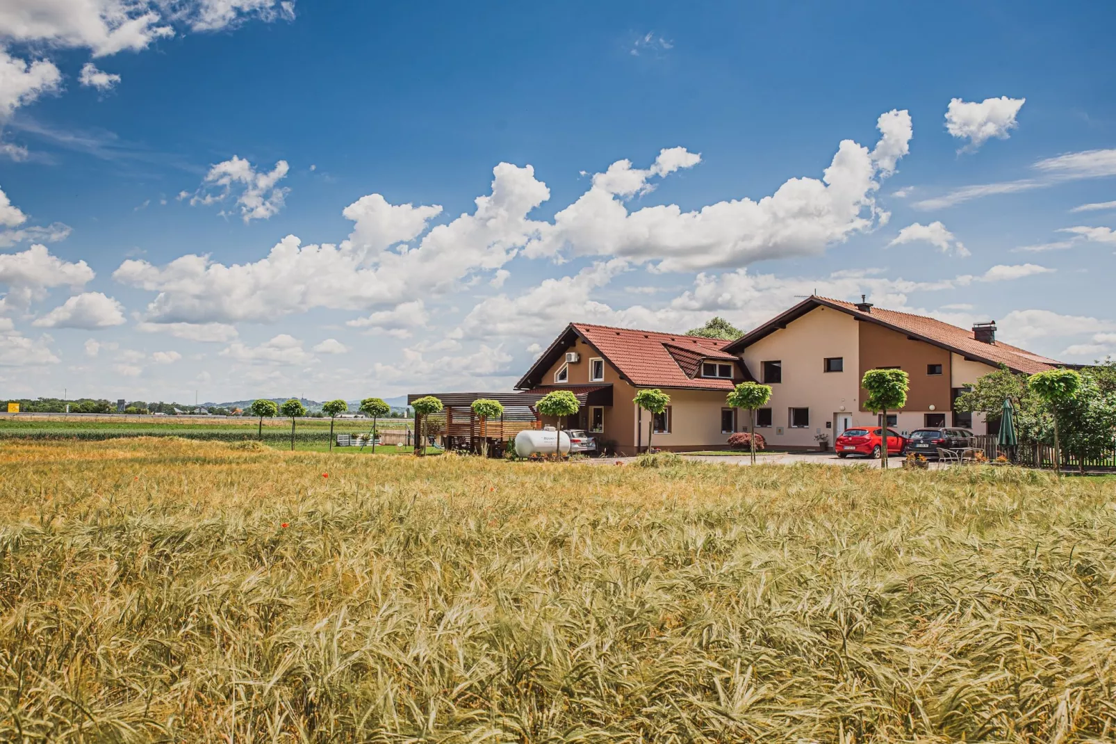 Elegant and Stylish Retreat Apartments with Terrace - Studio Apartment with Terrace-Extérieur