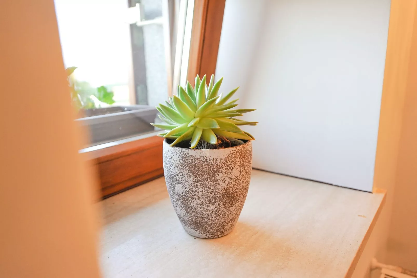 Relax and Rustic Apartments with Terrace - Classic One Bedroom Apartment with Terrace (owner Silvester)-Indoor