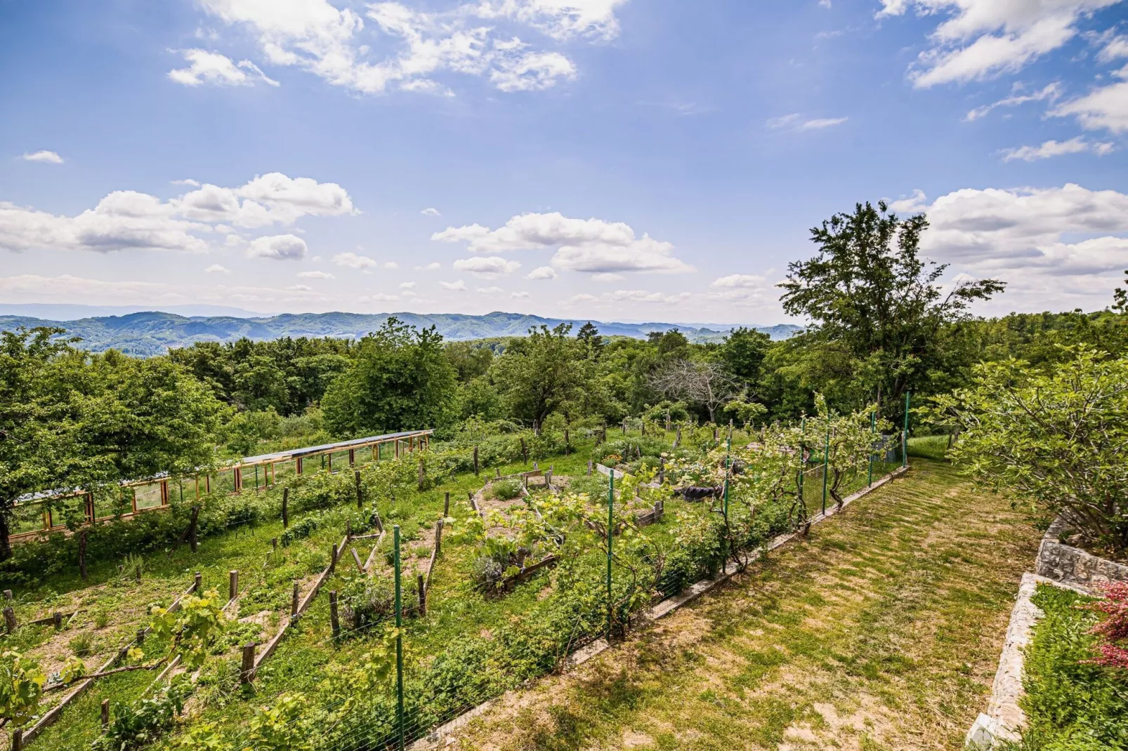 Hidden Authentic Haven Apartments - Two Bedroom Apartment with Balcony-Outdoor