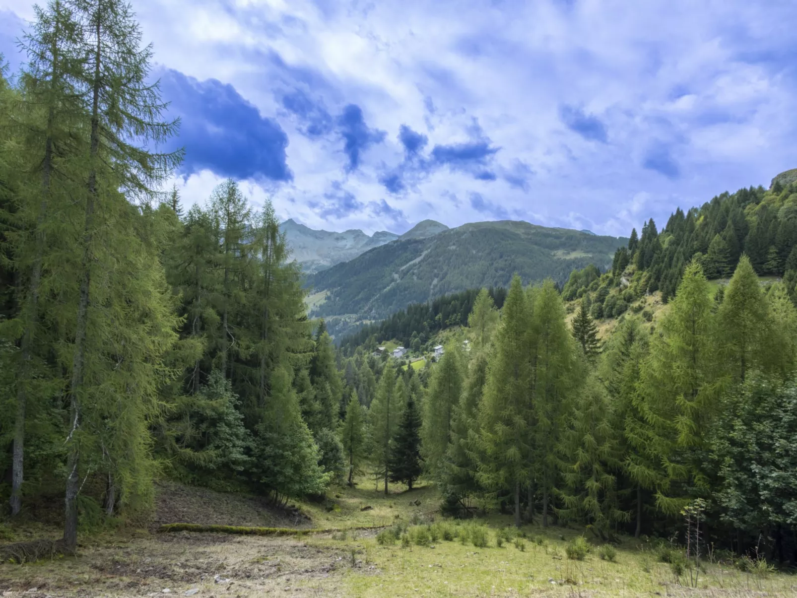 Residence gli Scoiattoli-Outside