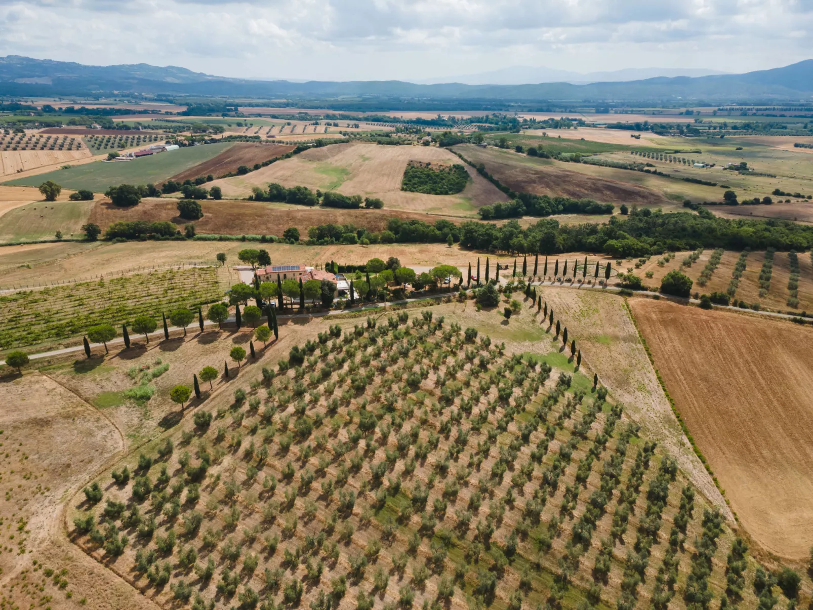 Poggio Piero 1-Draußen