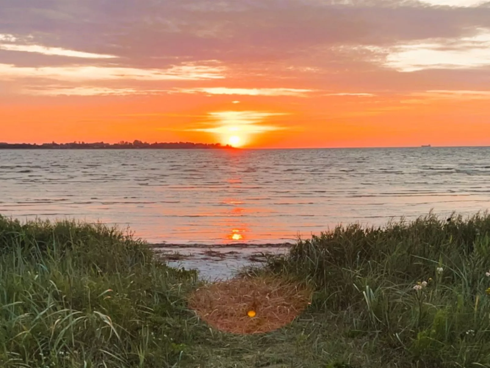 "Roya" - 100m from the sea-Dehors