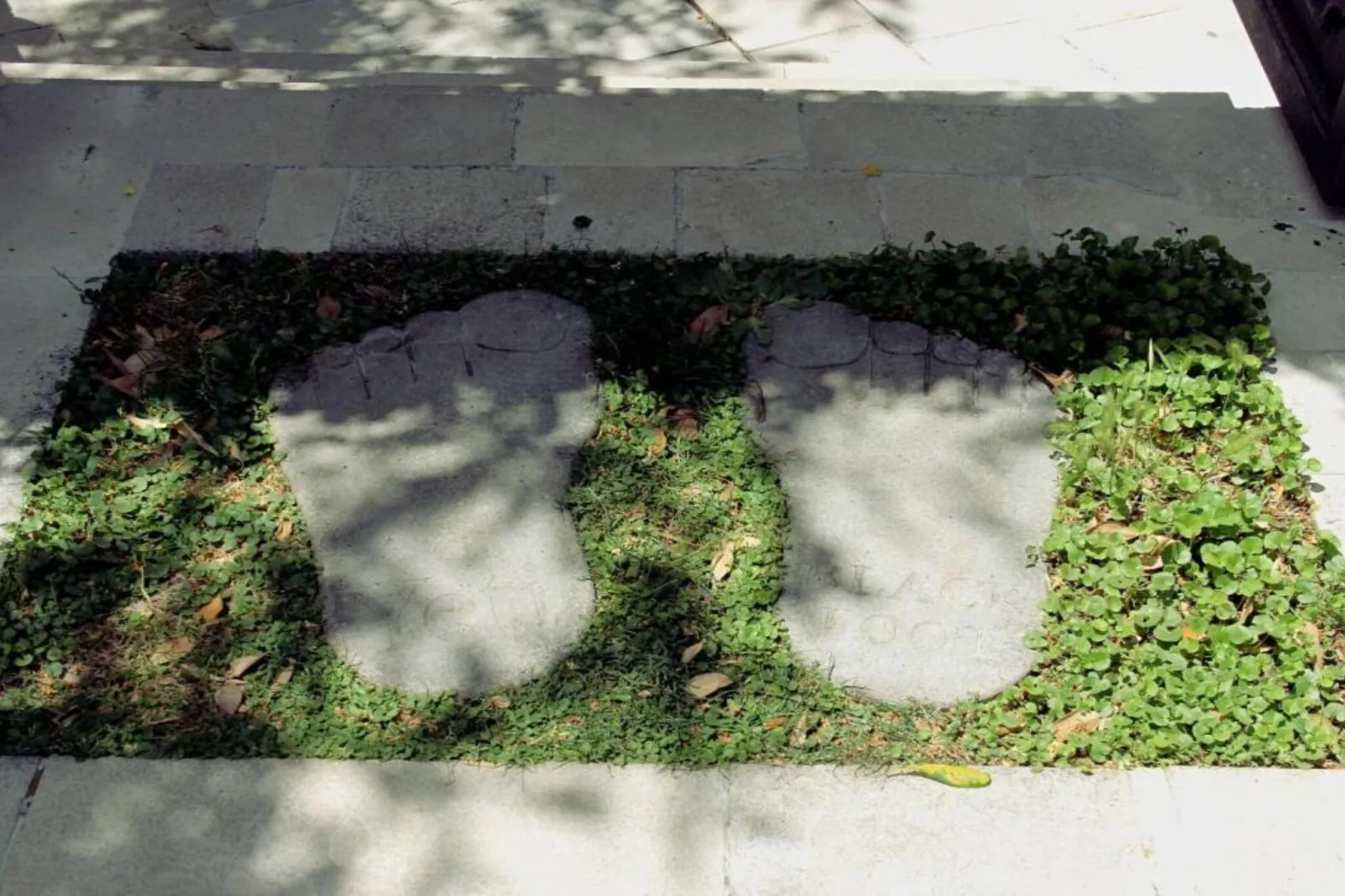 Charming & Cozy Apartment Close to Kotor Old Town - Two Bedroom Apartment-Outdoor