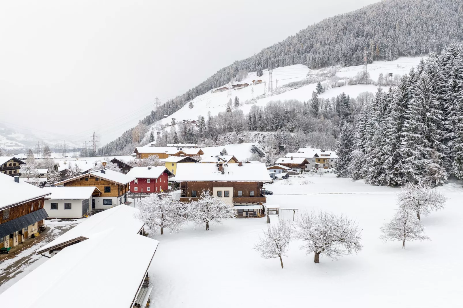 Apartment "Schattberg"-Area within 1km in winter