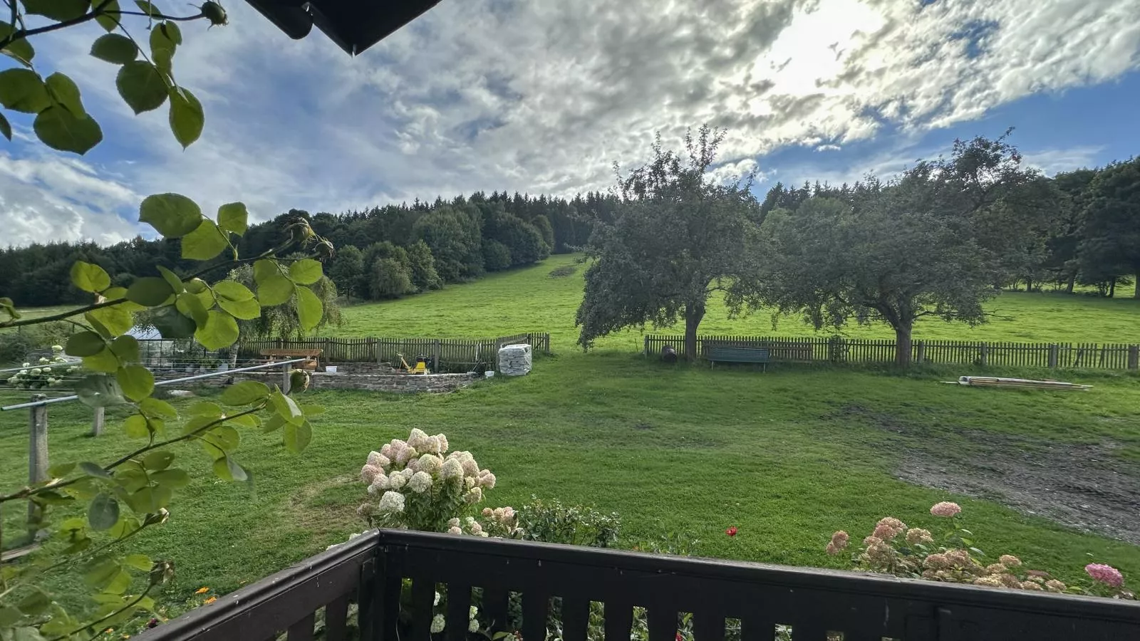 Neubert-View in summer