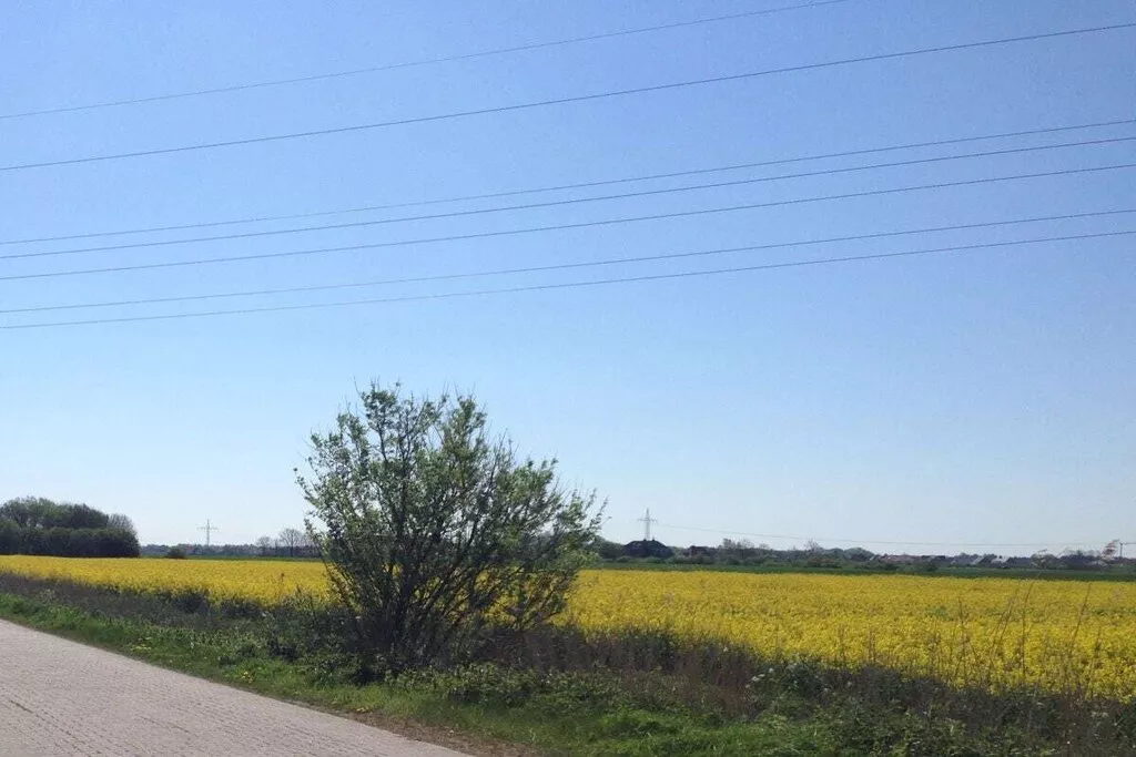 165895-Nicht zugeordnet