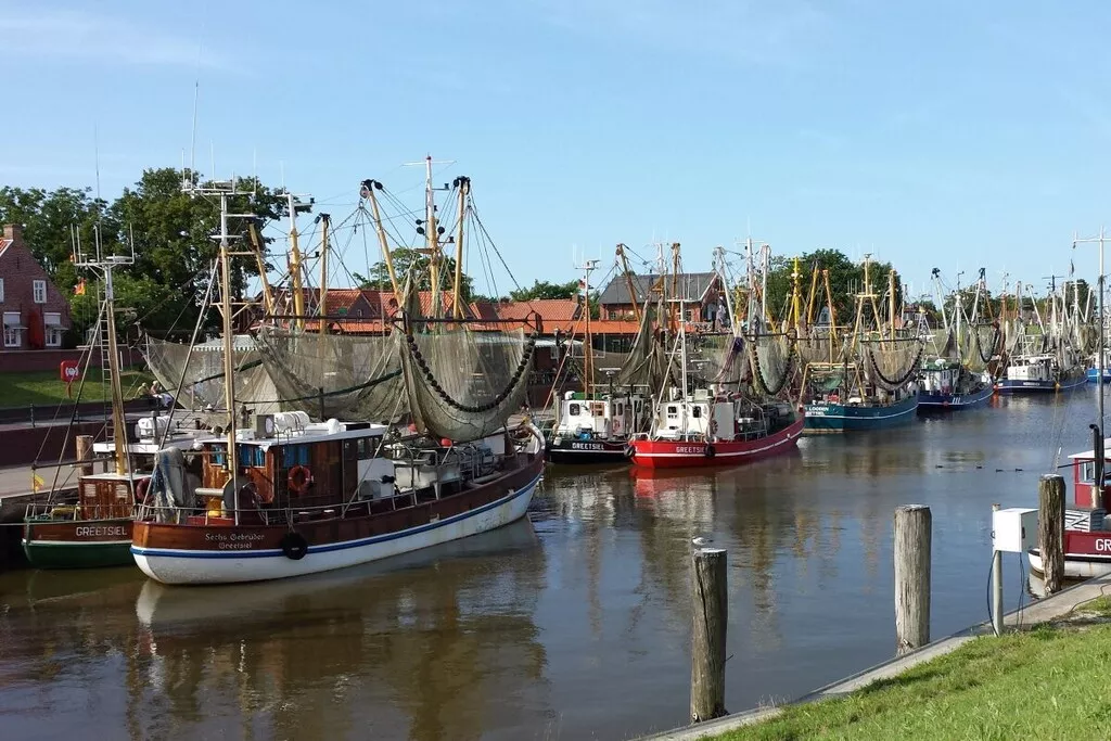 516889-Nicht zugeordnet