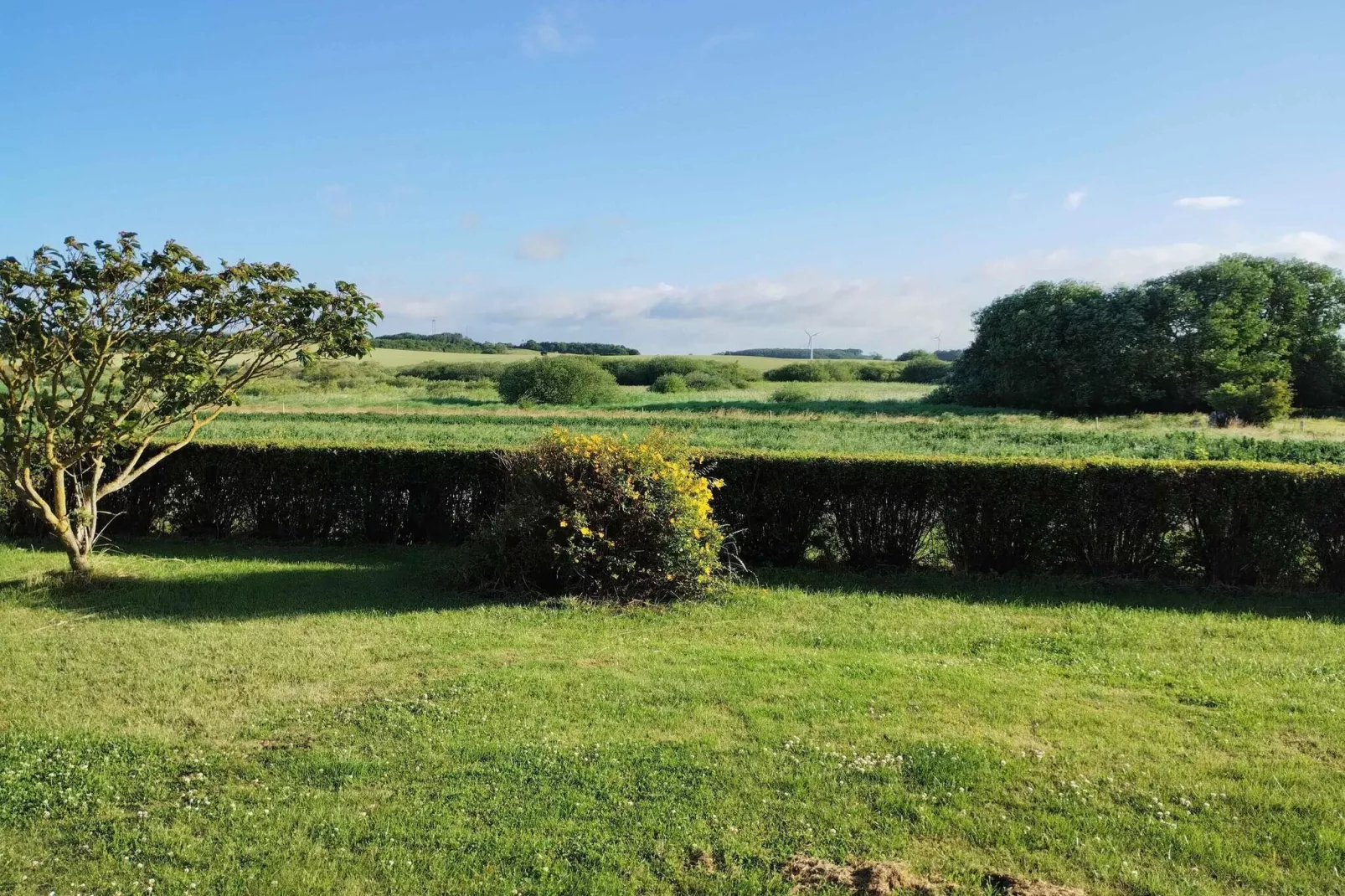 5 Sterne Ferienhaus in Bagenkop-Aussicht