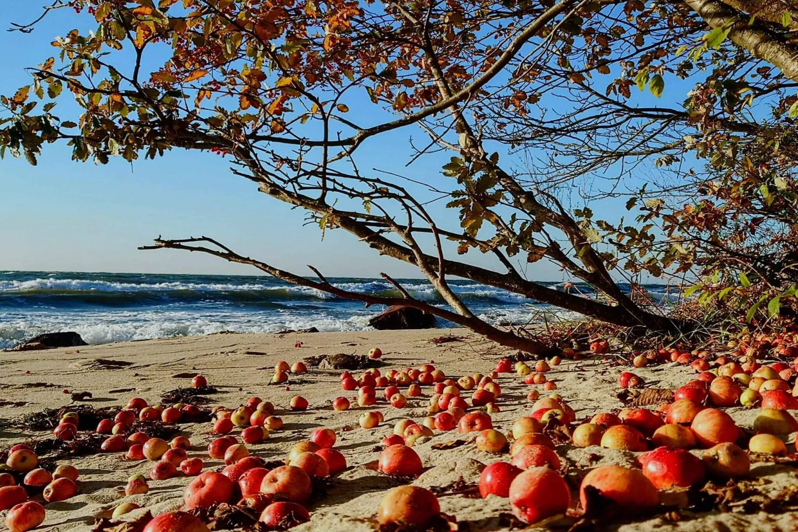 5 etoiles maison de vacances a Rønne-Vue sur l'eau