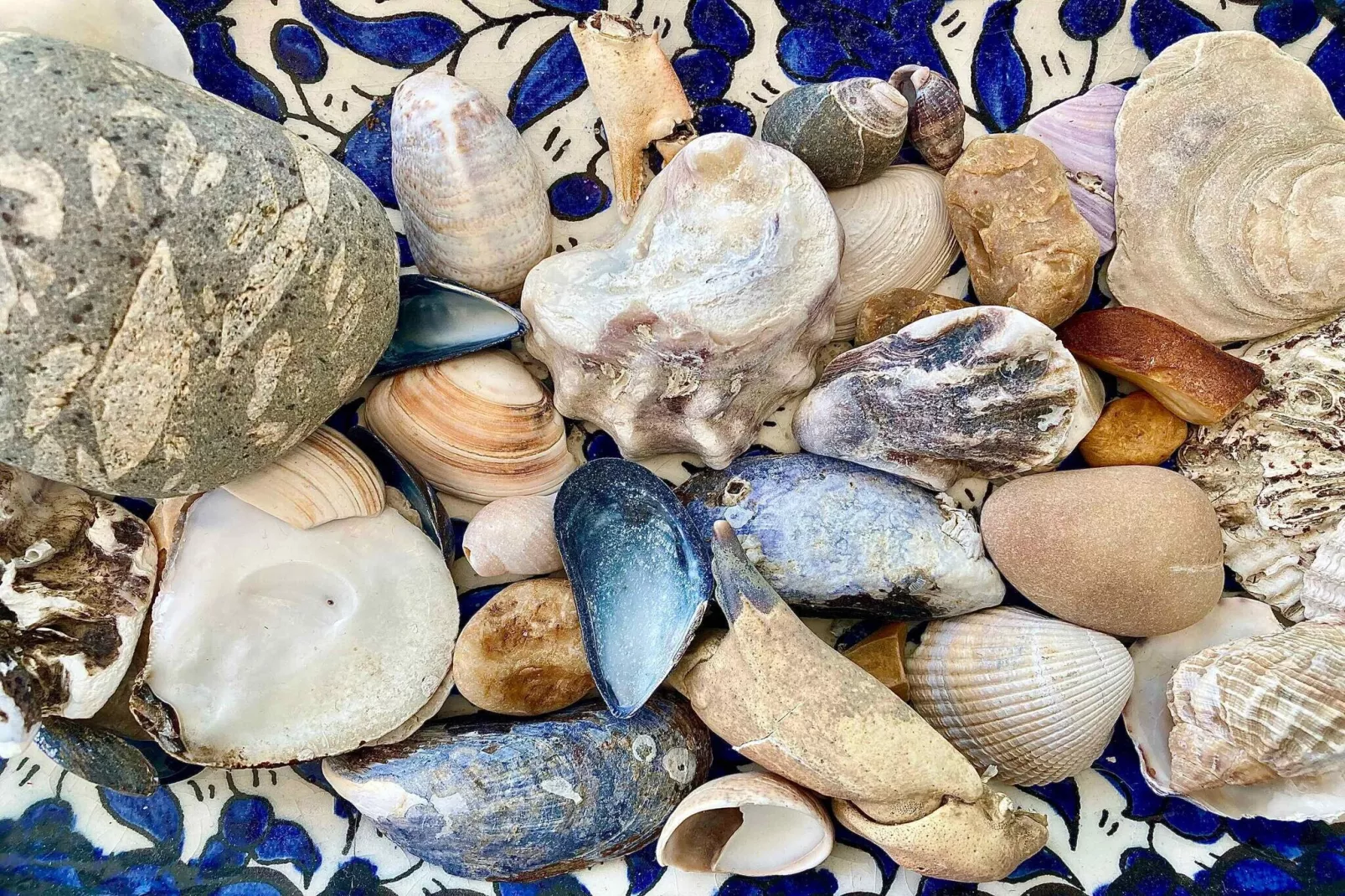 5 etoiles maison de vacances a Lemvig-Non tagué