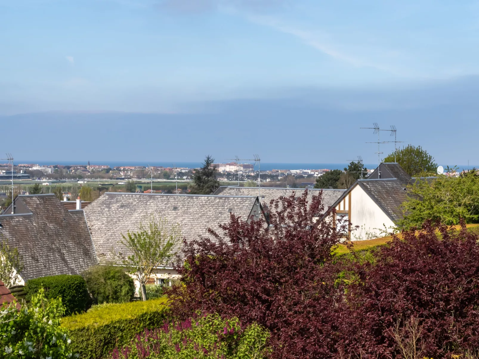 Les Jonquilles-Draußen