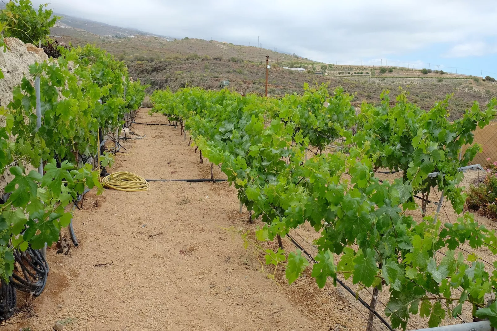 Finca Buenos Aires-Area within 1km in winter