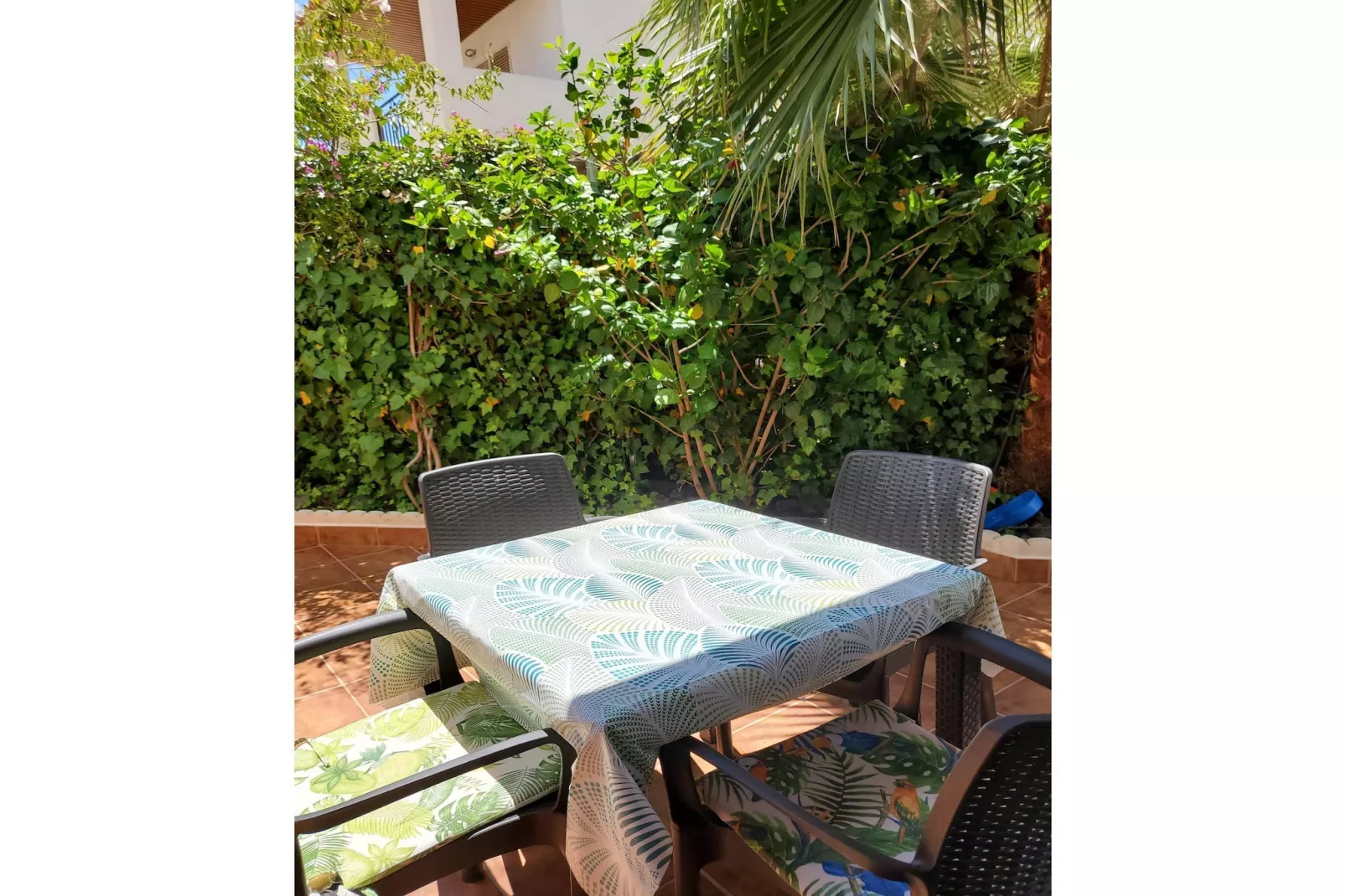 CT 367 AL - Faro's Casa Extradionaria - Urbanización Natura World-Terrace balcony