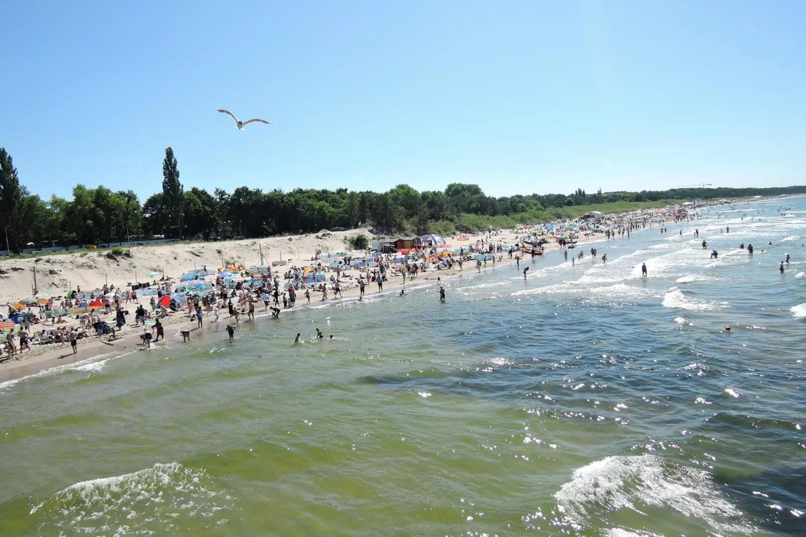 Green Hill Domysłów-Zones été à 5 km