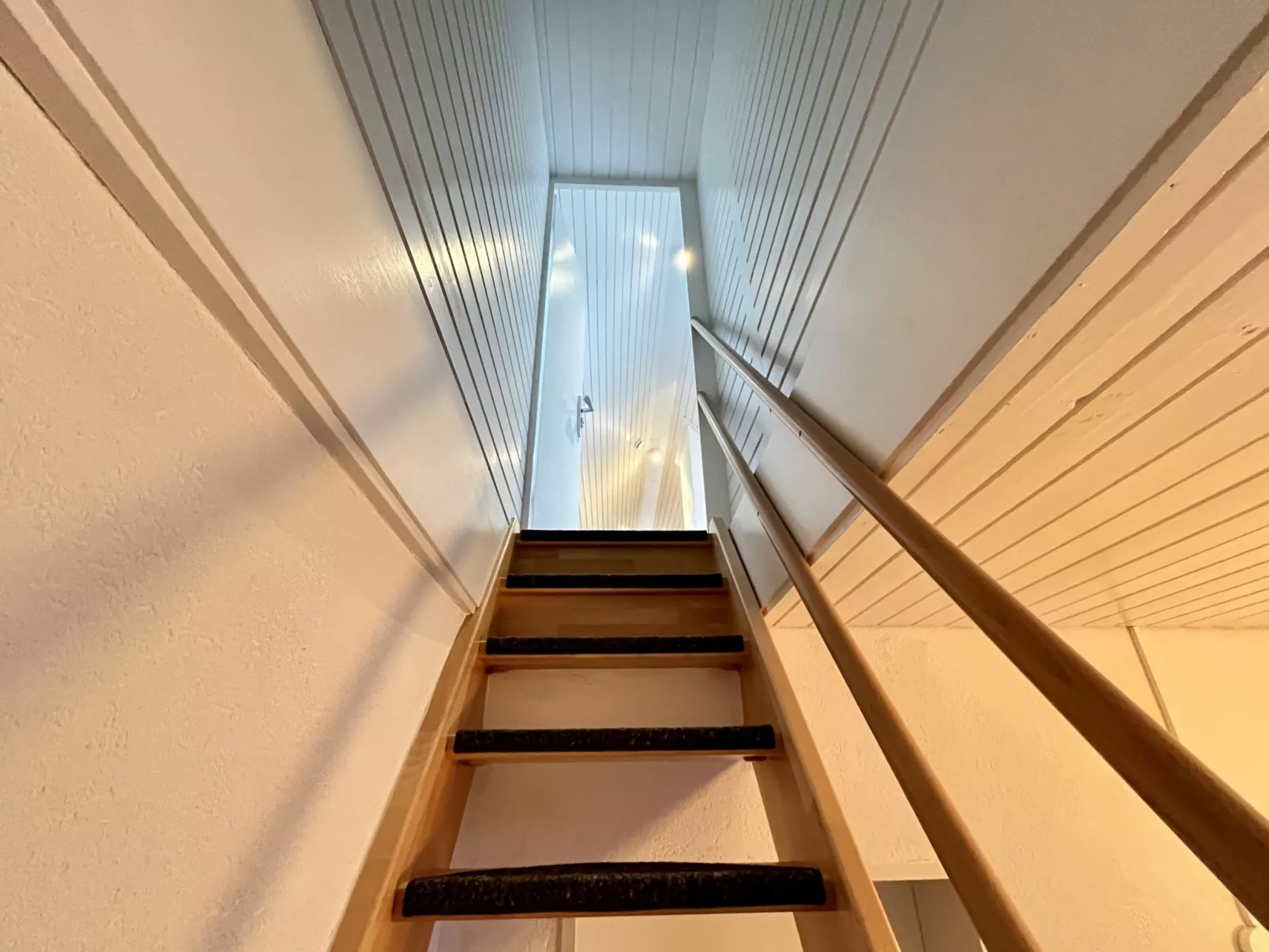 Falkennest - mit Blick auf den Titisee-Drinnen