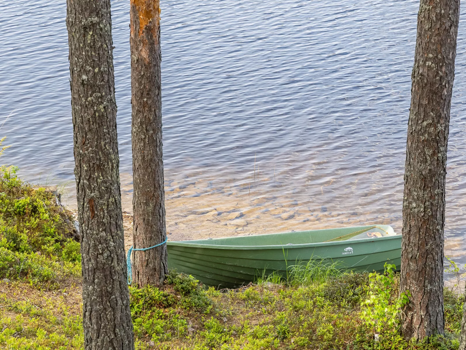 Villa norppa-Drinnen